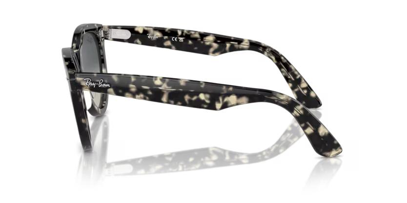 RAY-BAN RB2241 Sunglass