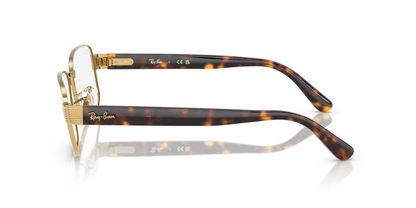 RAY-BAN RX6529 Optical Frame