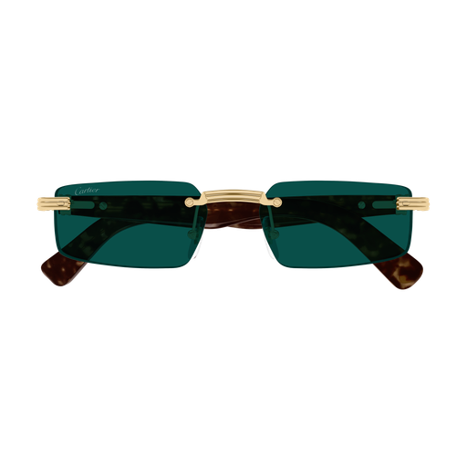 CARTIER CT0537S Sunglass