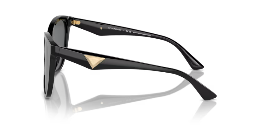 EMPORIO ARMANI EA4222U Sunglass