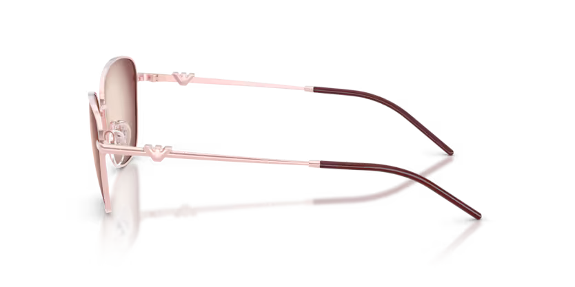 EMPORIO ARMANI EA2170 Sunglass