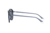 POLORIOD PLD 4162/S Sunglass