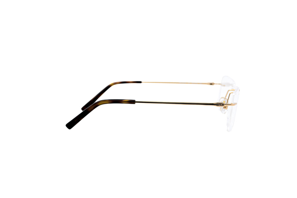 French Connection FCL5310 Optical Frame