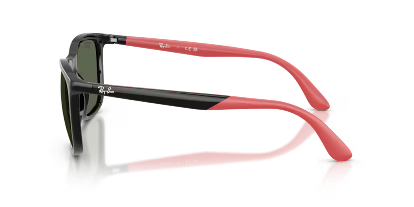 RAY-BAN RB4460I Sunglass