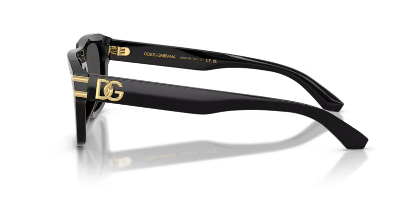 DOLCE & GABBANA DG4496 Sunglass
