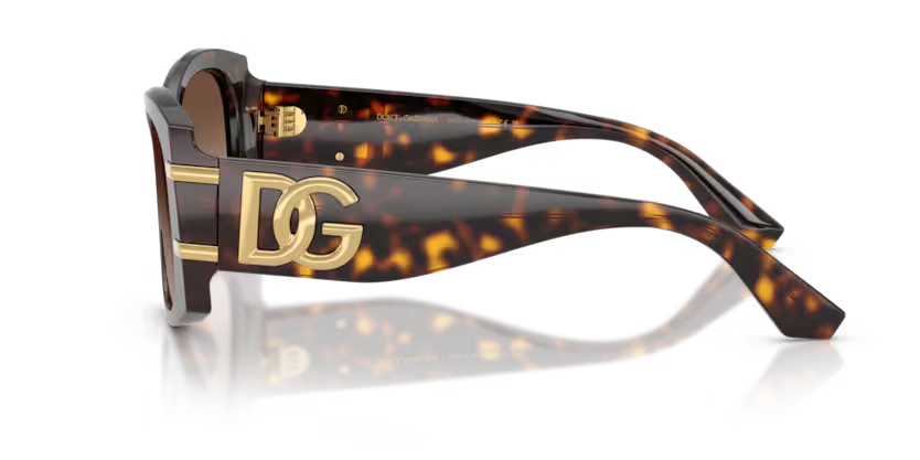 DOLCE & GABBANA DG4501 Sunglass