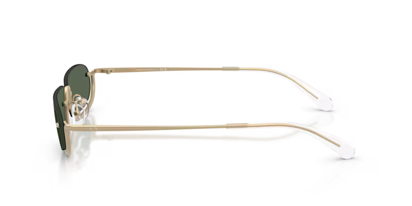 ARMANI EXCHANGE AX2058S Sunglass