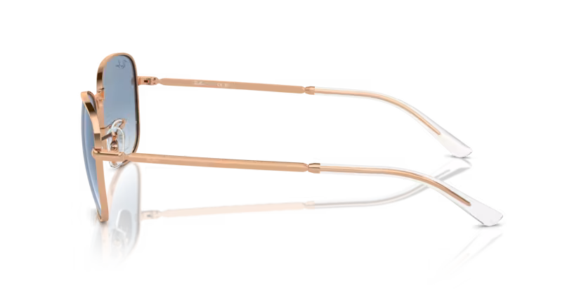 RAY-BAN RB3733 Sunglass