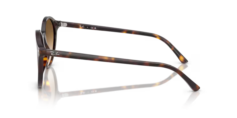 RAY-BAN RB2230 Sunglass