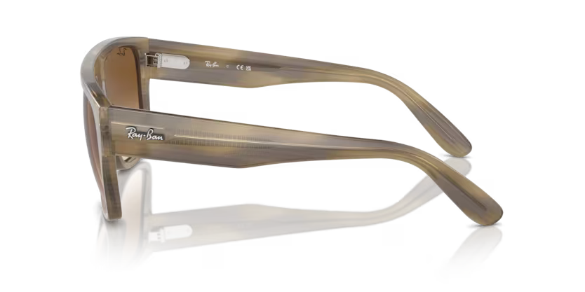 RAY-BAN RB0360S Sunglass