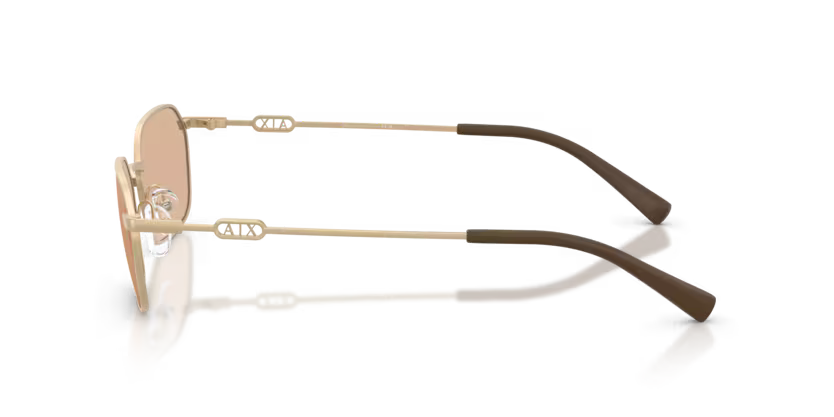 ARMANI EXCHANGE AX2056S Sunglass