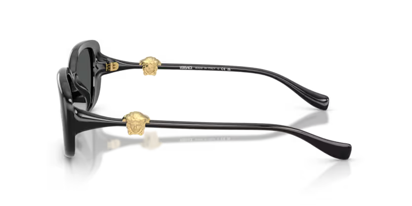 VERSACE VE4504D Sunglass