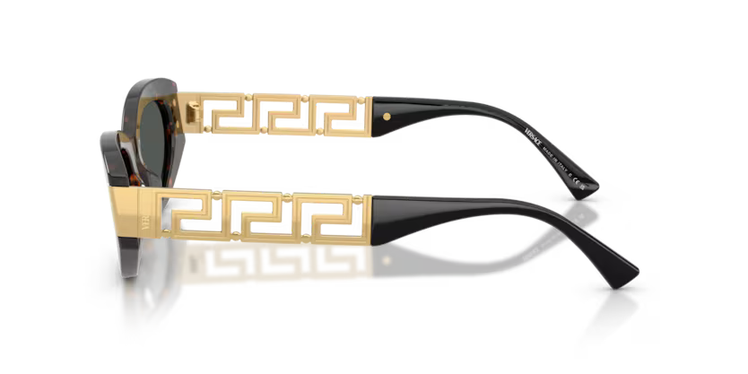 VERSACE VE4501 Sunglass