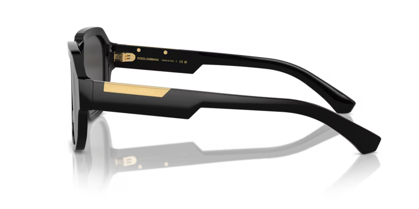 DOLCE & GABBANA DG4464 Sunglass