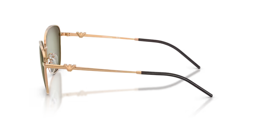 EMPORIO ARMANI EA2170 Sunglass