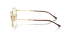 RAY-BAN RX6520 Optical Frame