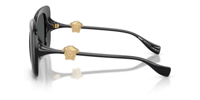 VERSACE VE4499U Sunglass