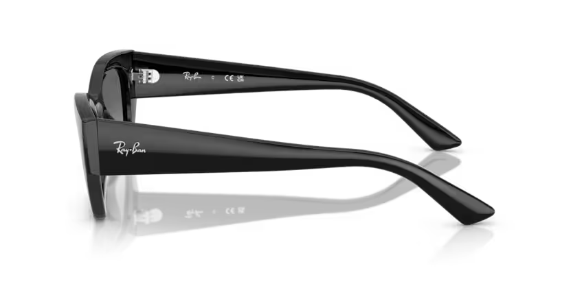 RAY-BAN RB4430 Sunglass