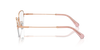 SWAROVSKI SK1010 Optical Frame