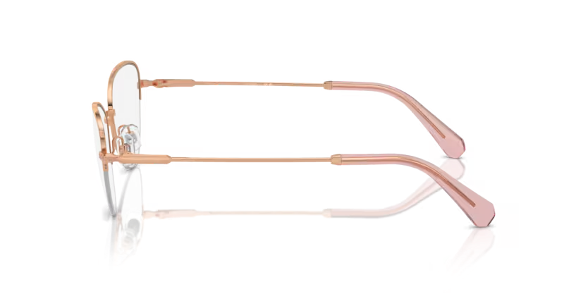 SWAROVSKI SK1010 Optical Frame