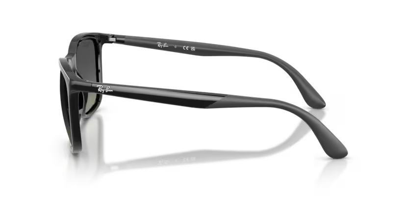 RAY-BAN RB4460I Sunglass