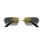 CARTIER CT0598S Sunglass | Designer eyeglasses for men and women | SpecsBunker India | premium optical frames collection