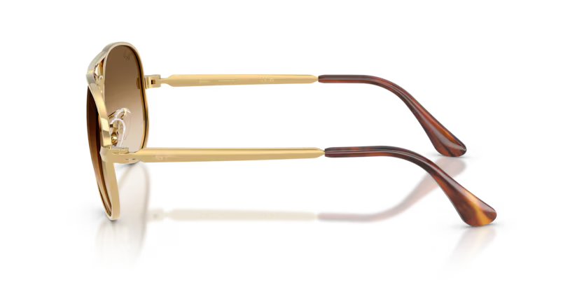 RAY-BAN RB3925 Sunglass