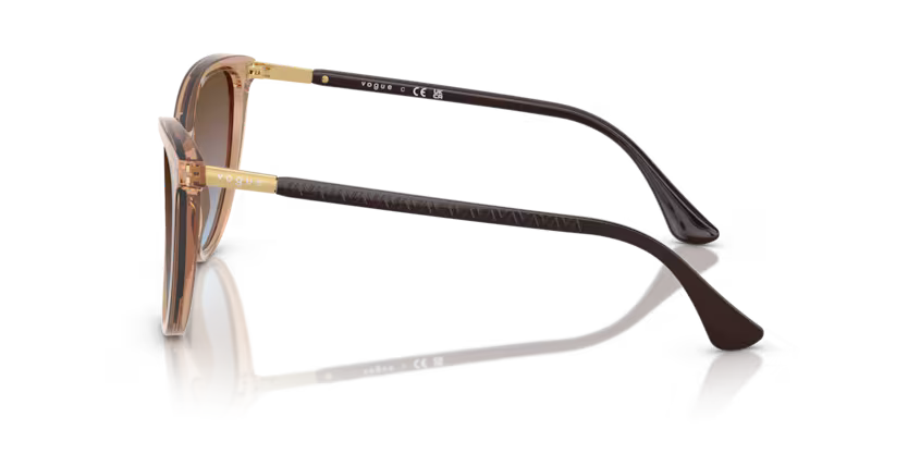 VOGUE VO5593SI Sunglass