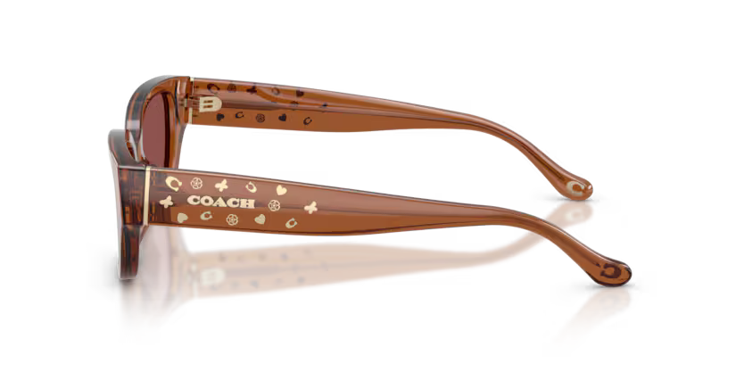 COACH HC8439U Sunglass online in India – stylish designer eyewear