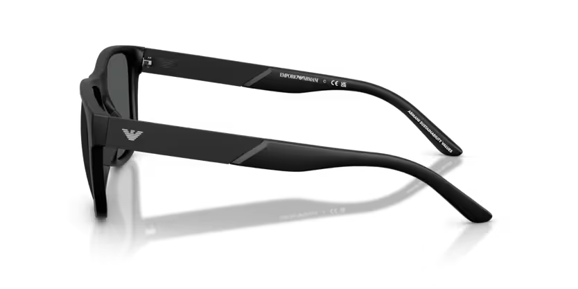 EMPORIO ARMANI EA4243 Sunglass
