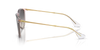 RAY-BAN RB4171 Sunglass