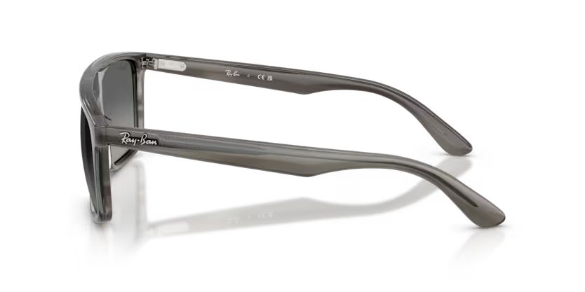 RAY-BAN RB2222 Sunglass