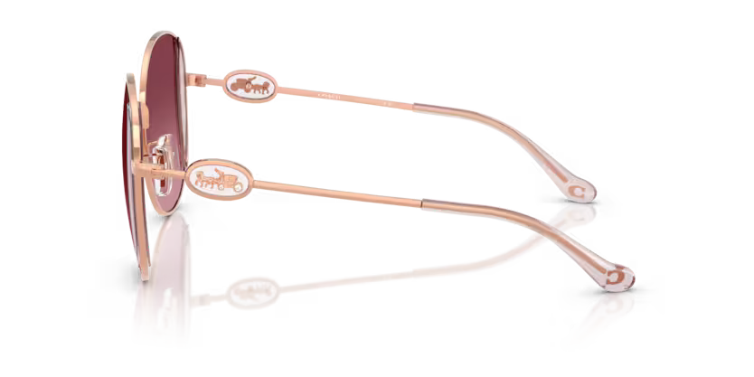 COACH HC7176B Sunglass
