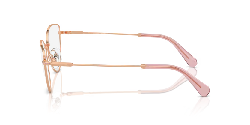 SWAROVSKI SK1012 Optical Frame