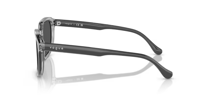 VOGUE VO5595SI Sunglass