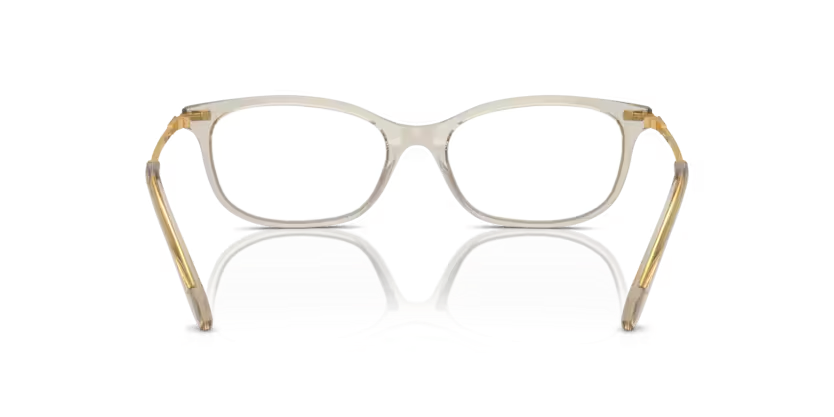 SWAROVSKI SK2017 Optical Frame