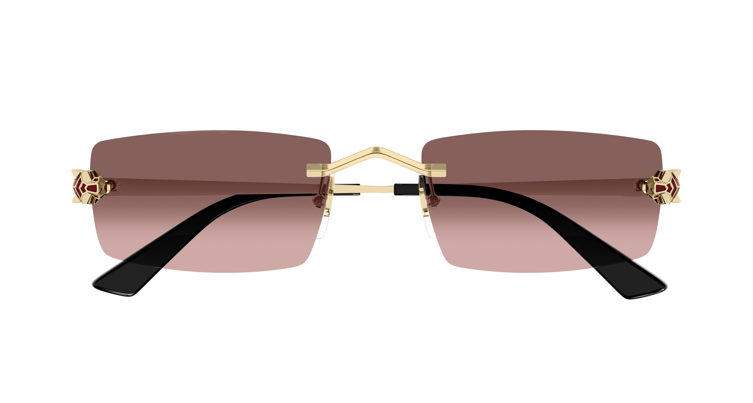 CARTIER CT0598S Sunglass
