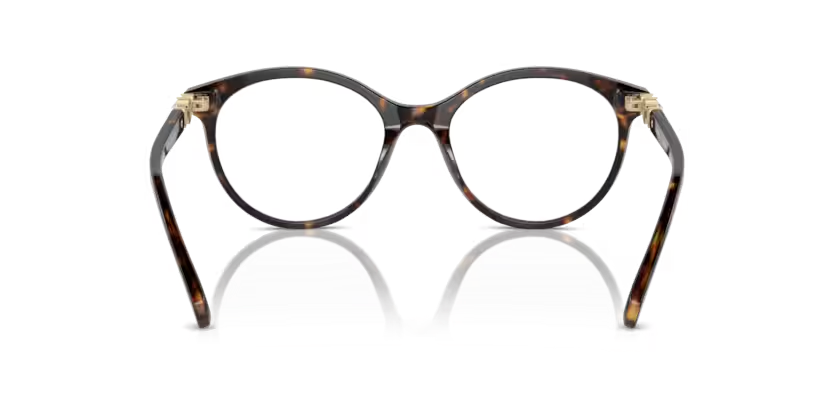 SWAROVSKI SK2019 Optical Frame