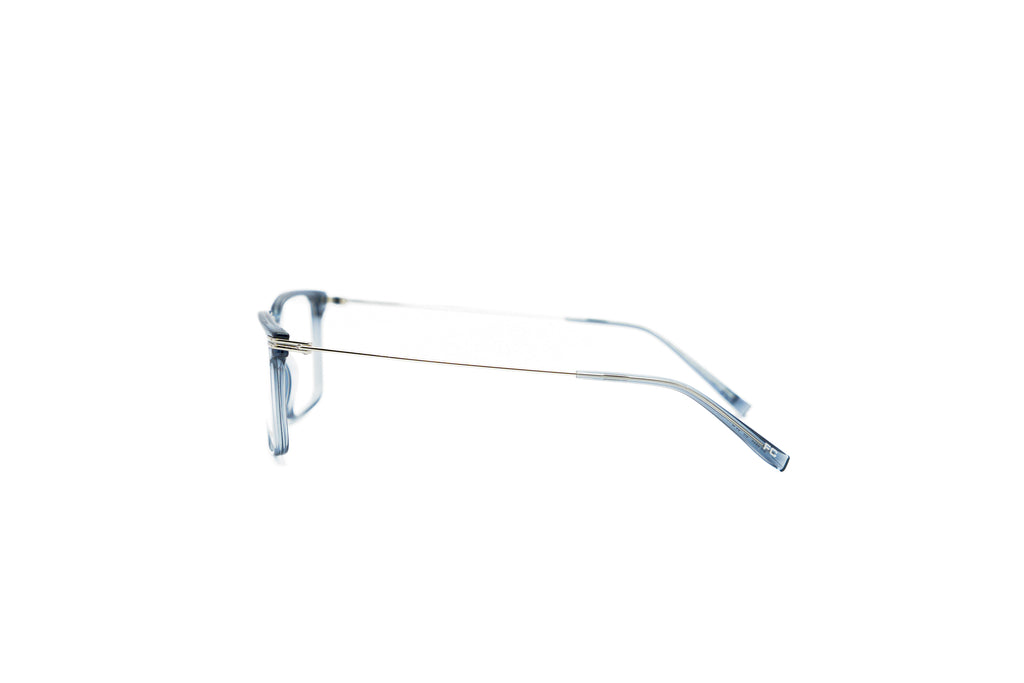 FRENCH CONNECTION FC8303 Optical Frames
