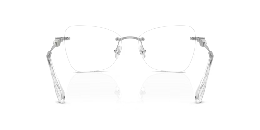 SWAROVSKI SK1014 Optical Frame
