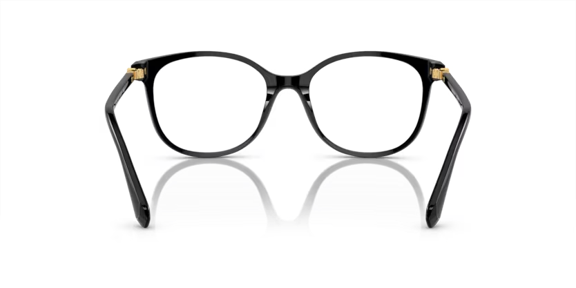 SWAROVSKI SK2002 Optical Frame