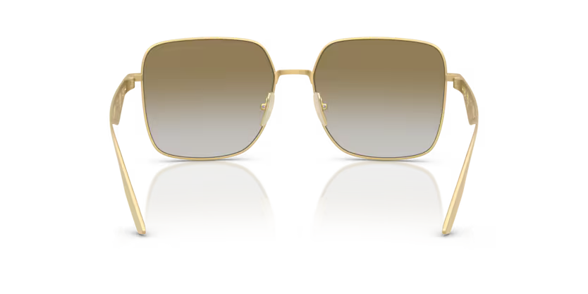 DOLCE & GABBANA DG2310 Sunglass