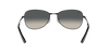 RAY-BAN RB3733 Sunglass