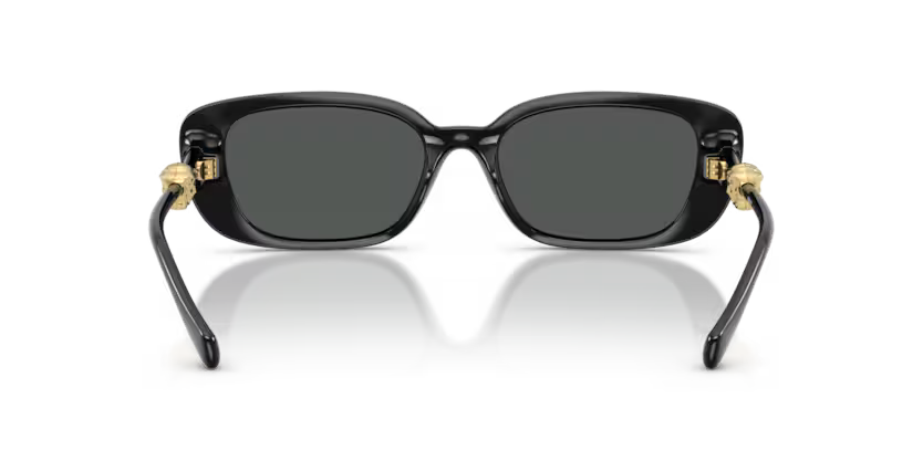 VERSACE VE4504D Sunglass