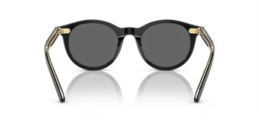 GIORGIO ARMANI AR8199U Sunglass