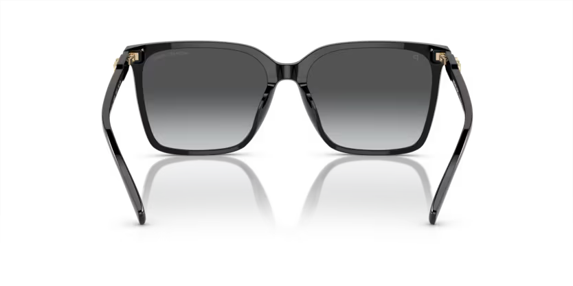 MICHAEL KORS MK2197U Sunglass