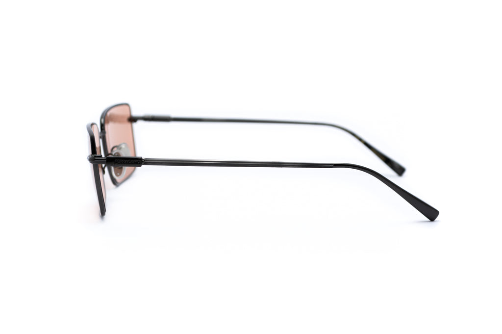 FERRAGAMO SF309 Sunglass