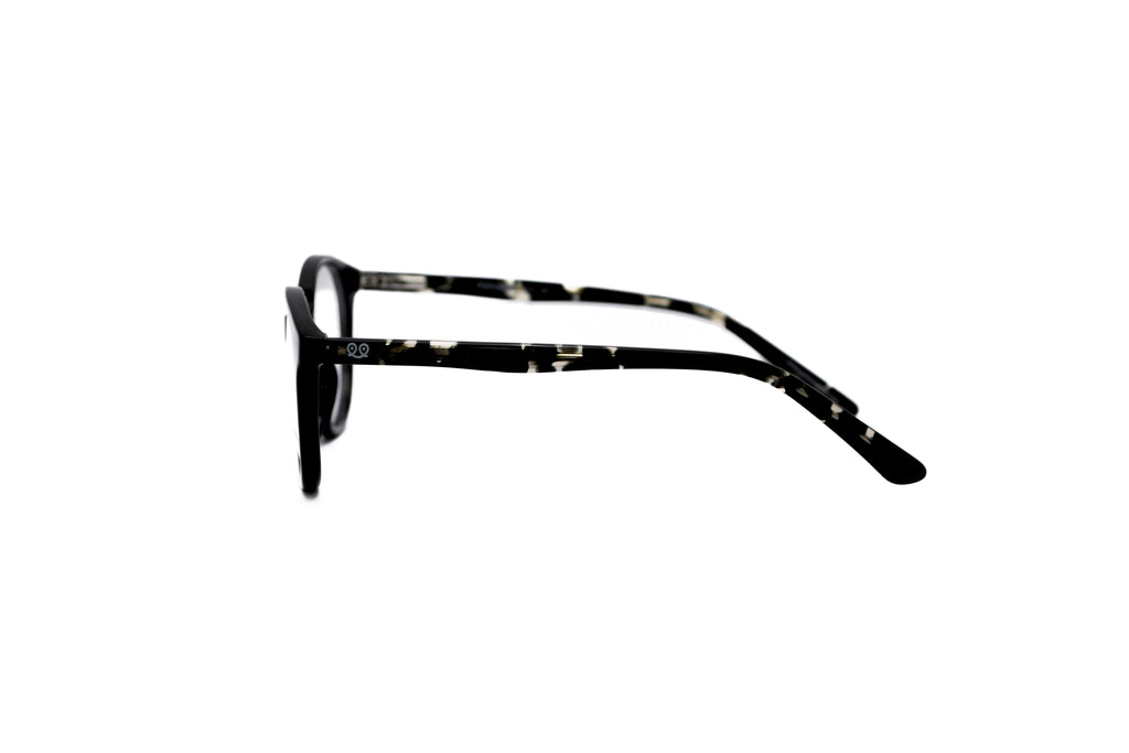 PITT & MITT PMF-300A Optical Frame
