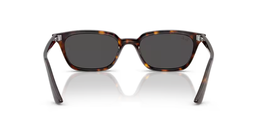 RAY-BAN RB4456 Sunglass