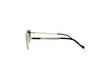 FRENCH CONNECTION FC7696 Sunglass
